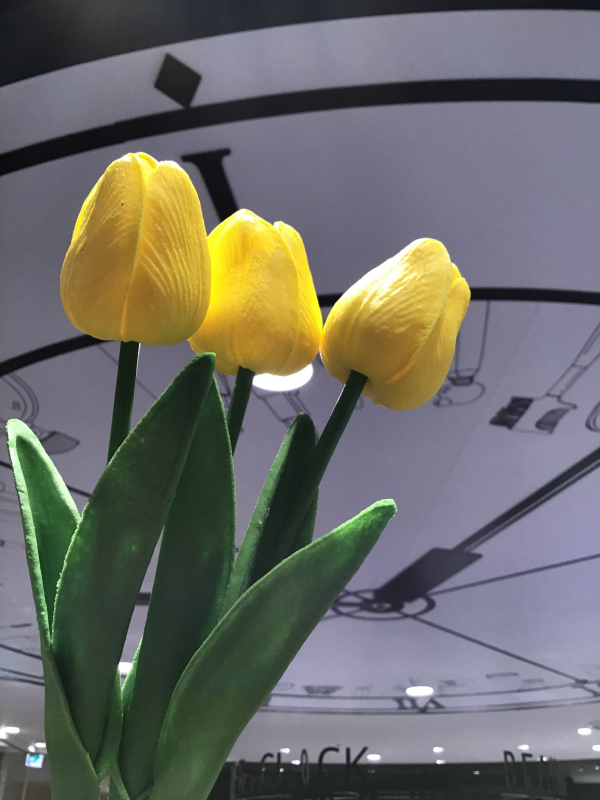 新宿店 チューリップあるってさ ルミネ新宿店 Shop Blog ショップイン Shop In